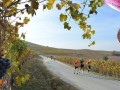 Maratona del Barbaresco 2020 920x460 e