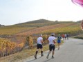 Maratona del Barbaresco 2020 920x460 f