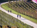 Maratona del Barbaresco 2020 920x460 h