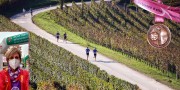 Maratona del Barbaresco 2020 920x460 h