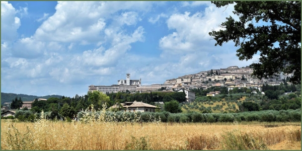 Scenari di serenità francescana