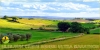 Rapolano Terme (SI), 2^ Crete senesi Ultramarathon