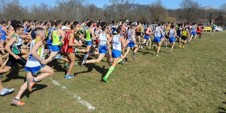 La Festa del Cross a Venaria R. nel 2019