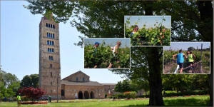 L&#039;Abate protegge vigne e podisti