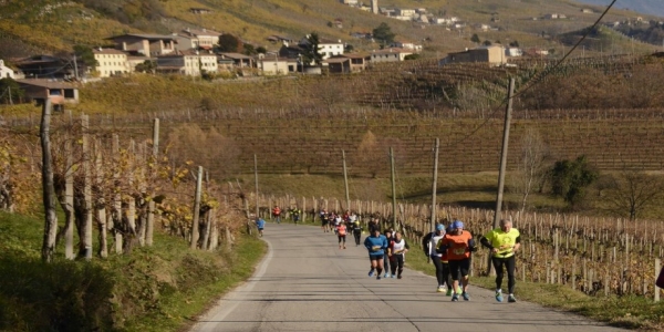 Panoramica Vigneti