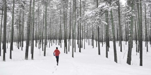 L’incanto di correre sulla neve fresca