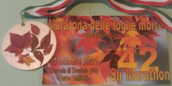 Pettorale e medaglia della Maratona