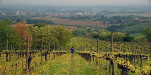 Zola Predosa (BO), Trail dell’Abbazia: un messaggio per tutta la regione