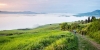 Dal Tuscany Trail