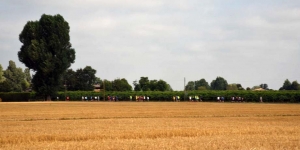 Il fascino della campagna