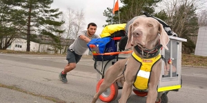 Se il cane tira... la maratona non vale!