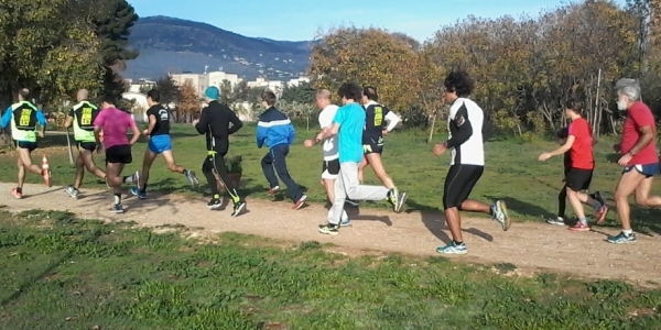 Una fase di parkrun