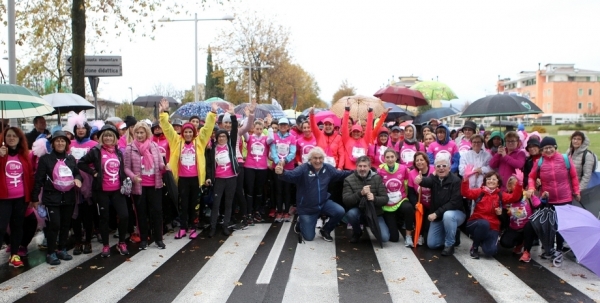 Il gruppo rosa