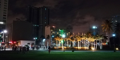 Miami, will you marry me? The answer is blowing in the wind