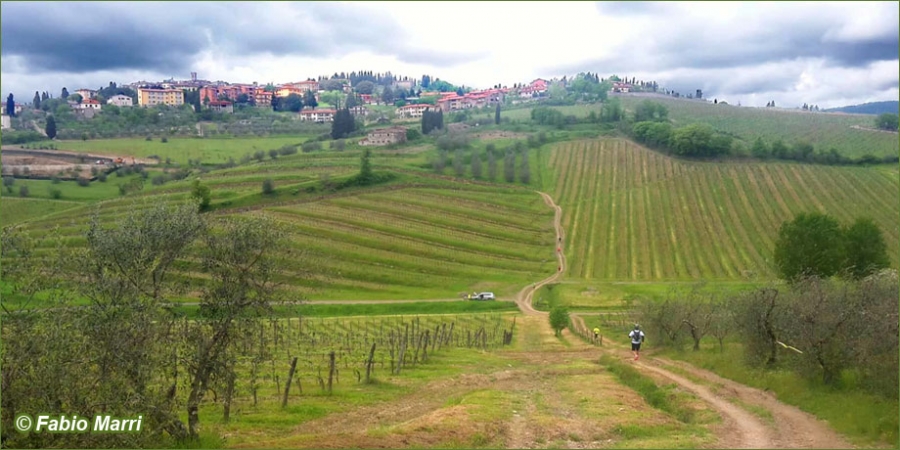 Uno scorcio di Vallombrosa